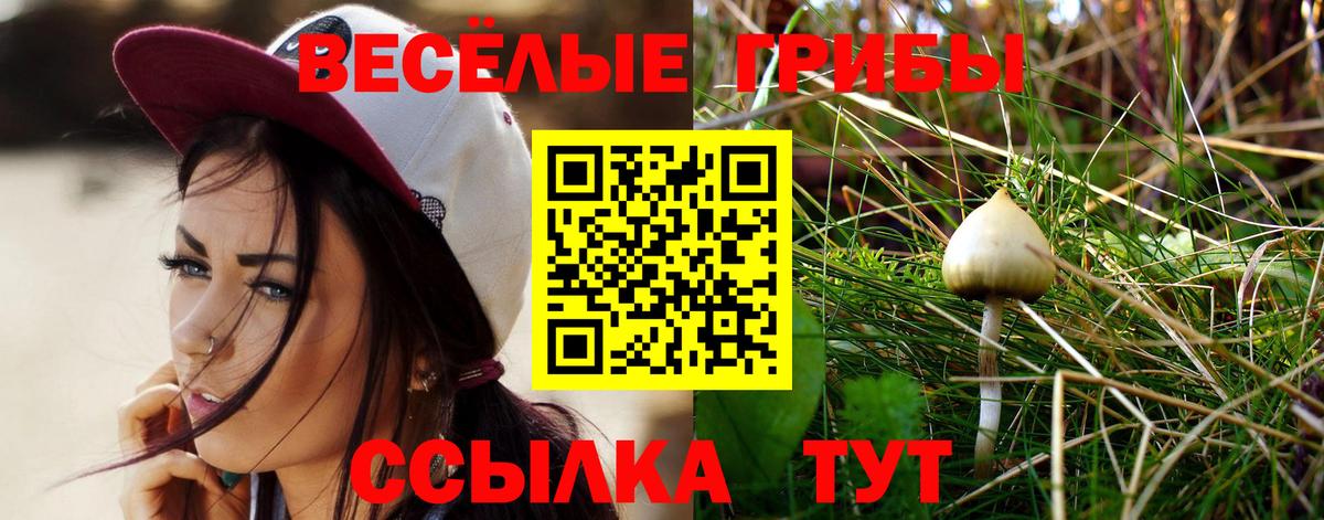 Ликино-Дулёво  Галлюциногенные грибы Cubensis  Вход с VPN 